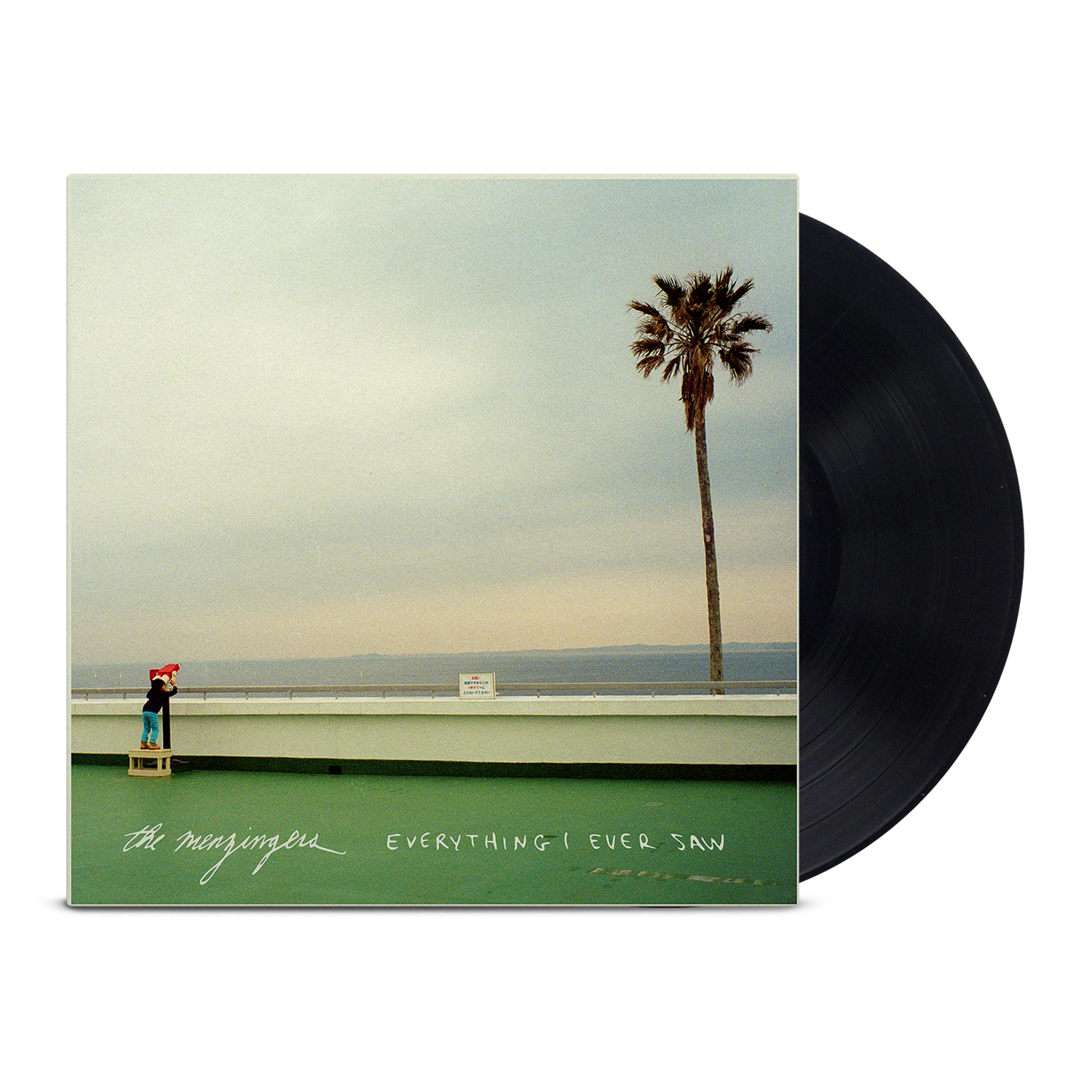 Everything I Ever Saw LP (Black)