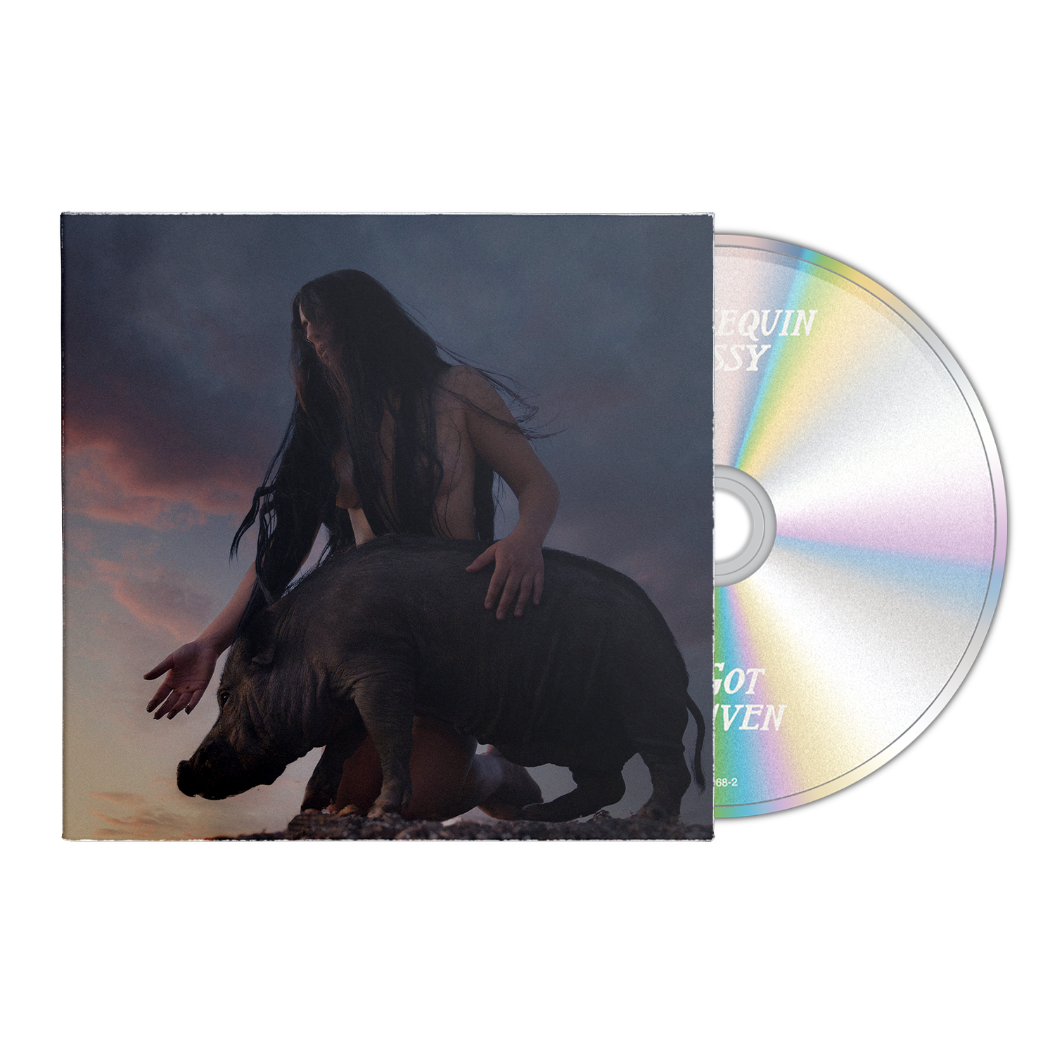 I Got Heaven CD
