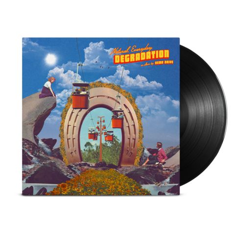 Natural, Everyday Degradation LP (Black)